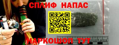 ешки Сланцы