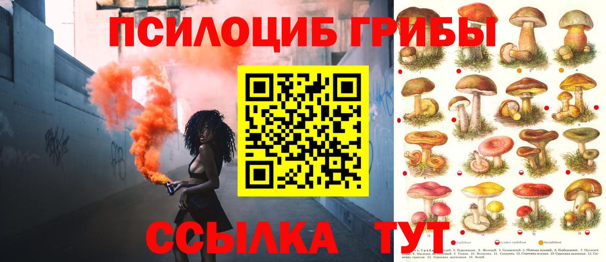 Галлюциногенные грибы мицелий  Галлюциногенные грибы MAGIC MUSHROOMS  Похвистнево  Вход с VPN 